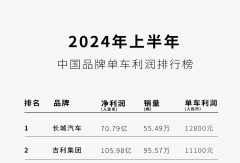 銷冠比亞迪，“不要利潤(rùn)”