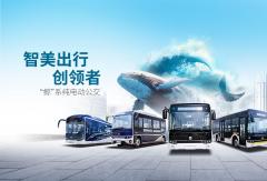 中車(chē)電動(dòng)